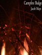 Campfire Badge (eBook, ePUB) - Bild 1