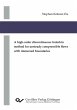 A high-order discontinuous Galerkin... - Bild 1
