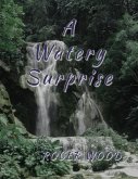 A Watery Surprise (eBook, ePUB)