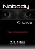 Nobody Knows : A Gay Man's Experience (eBook, ePUB)