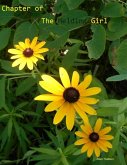 Chapter of the Melding Girl (eBook, ePUB) Chapter of the Melding Girl (eBook, ePUB)