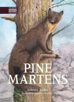 Pine Martens - Birks, Johnny