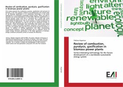 Review of combustion, pyrolysis, gasification in biomass power plants