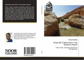 Wadi Bili Catchment in the Eastern Desert