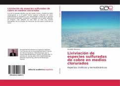 Lixiviación de especies sulfuradas de cobre en medios clorurados - Herreros, Osvaldo