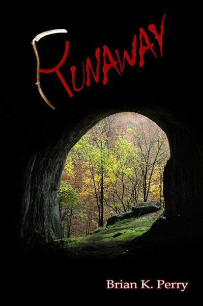 Runaway (eBook, ePUB)