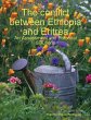 The Conflict Between Ethiopia and... - Bild 1