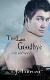 The Last Goodbye (MM Romance) (eBook, ePUB)