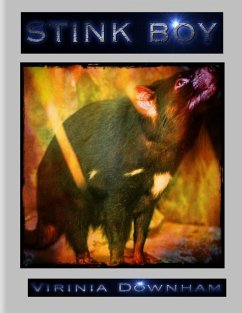 Stink Boy (eBook, ePUB) - Downham, Virinia