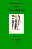 The Adventures of the Three Lady Knights : Books 1 & 2 (eBook, ePUB)