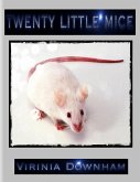 Twenty Little Mice (eBook, ePUB)