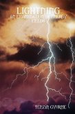 Lightning: An Examination of Energy Fields (eBook, ePUB)