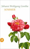 Sommer (eBook, ePUB)