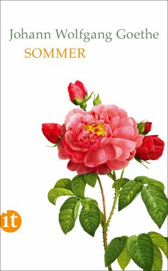 Sommer (eBook, ePUB) - Goethe, Johann Wolfgang