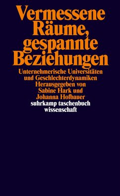 Vermessene Räume, gespannte Beziehungen (eBook, ePUB)