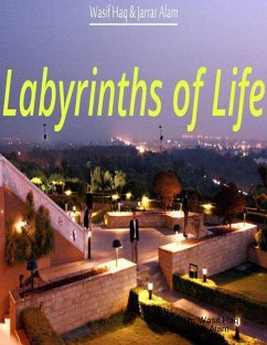 Labyrinths of Life (eBook, ePUB) - Haq, Wasif; Alam, Jarrar