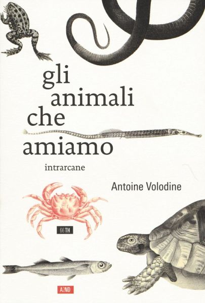 Gli animali che amiamo Gli animali che amiamo