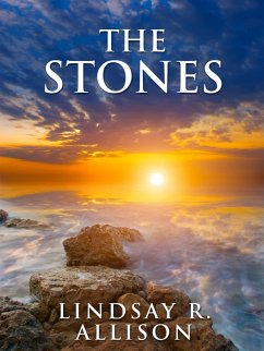 The Stones (eBook, ePUB) - Allison, Lindsay R.