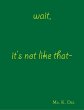 Wait, It's Not Like That (eBook, ePUB) - Bild 1