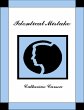 Identical Mistake (eBook, ePUB) - Bild 1
