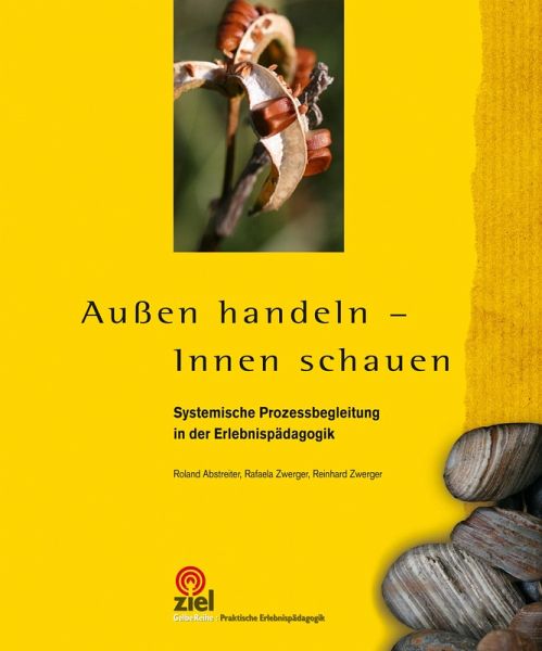 Außen handeln - Innen schauen (eBook, ePUB)