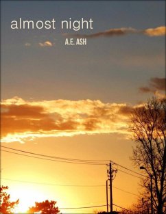 Almost Night (eBook, ePUB) - Ash, A. E.