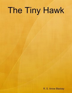 The Tiny Hawk (eBook, ePUB) - Blackay, R. S. Arrow