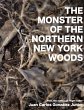 The Monster of the Northern New York... - Bild 1