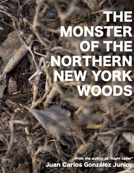The Monster of the Northern New York Woods (eBook, ePUB)