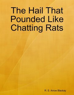 The Hail That Pounded Like Chatting Rats (eBook, ePUB) - Blackay, R. S. Arrow