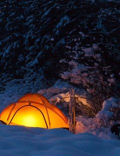 Cover Camping Catfight (eBook, ePUB)