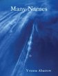 Many Names (eBook, ePUB) - Bild 1