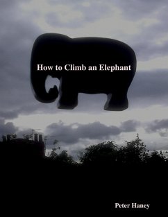 How to Climb an Elephant (eBook, ePUB) - Haney, Peter