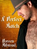 A Perfect Match (eBook, ePUB)