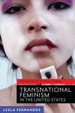 Transnational Feminism in the United States (eBook, ePUB)