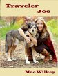 Traveler Joe (eBook, ePUB) - Bild 1