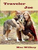 Traveler Joe (eBook, ePUB)