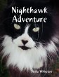 Nighthawk Adventure (eBook, ePUB) - Bild 1