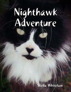 Cover Nighthawk Adventure (eBook, ePUB)