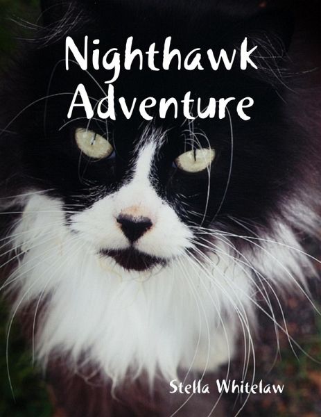 Nighthawk Adventure (eBook, ePUB) Nighthawk Adventure (eBook, ePUB)