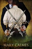 Connexion (eBook, ePUB)
