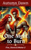 One Night to Burn (Fire, Stone & Water, #2) (eBook, ePUB)