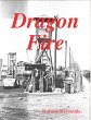 Dragon Fire (eBook, ePUB) - Bild 1