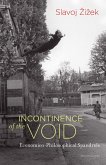 Incontinence of the Void (eBook, ePUB)