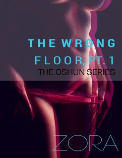 The Wrong Floor, Pt. 1 - The Oshun Series (eBook, ePUB) - Zora