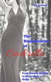 The Bimbofication of Cinderella (eBook, PDF)