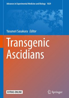 Transgenic Ascidians