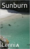 Sunburn (eBook, ePUB)