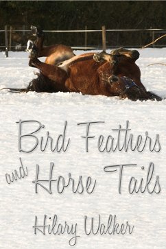 Bird Feathers and Horse Tails (eBook, ePUB) - Walker, Hilary