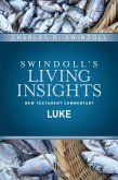 Insights on Luke (eBook, ePUB)